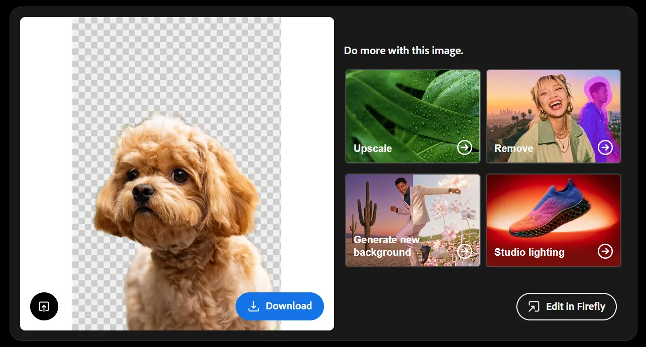 Adobe Firefly background removal result on the dog photo