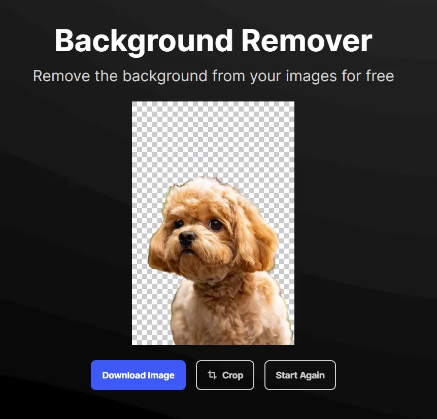 Design.com background removal result on the dog photo