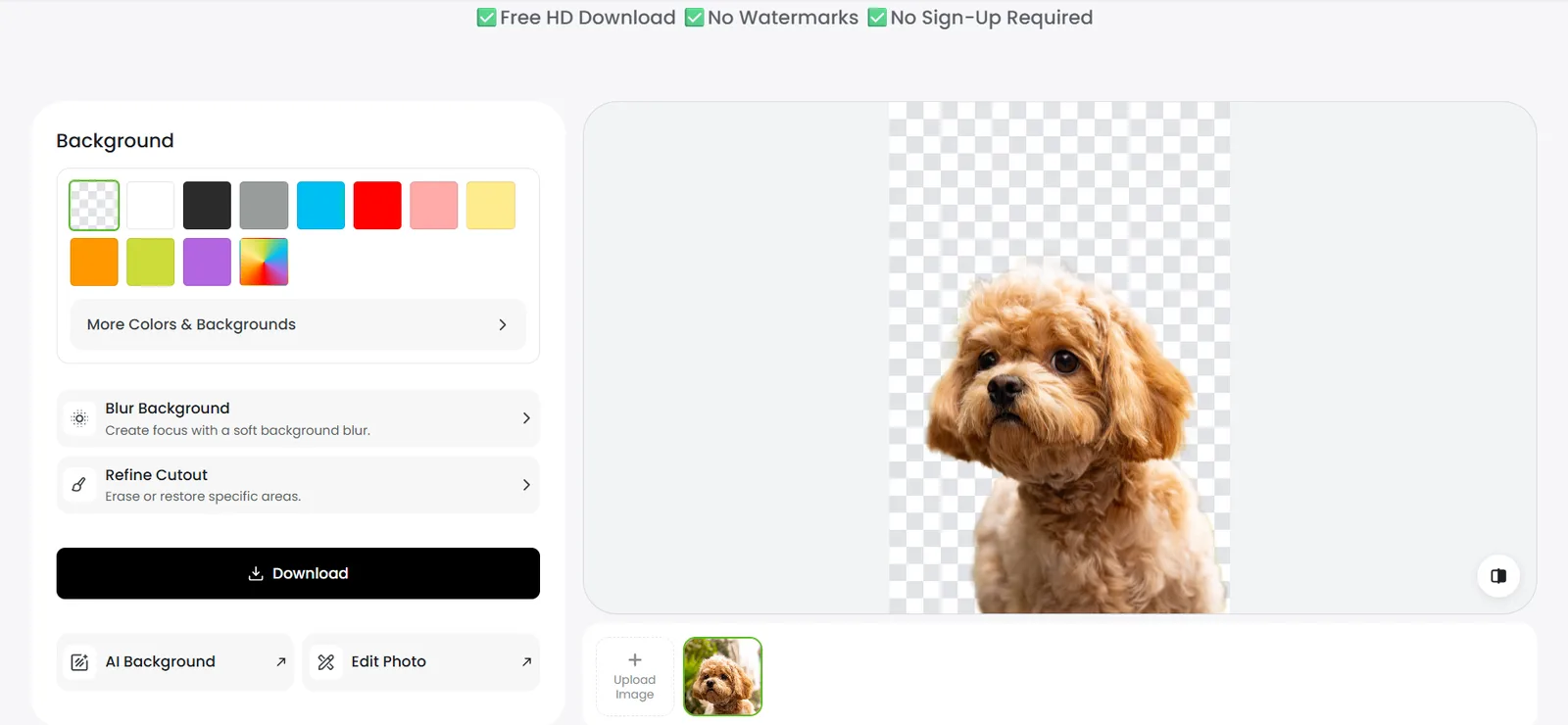 Fotor background removal result on the dog photo
