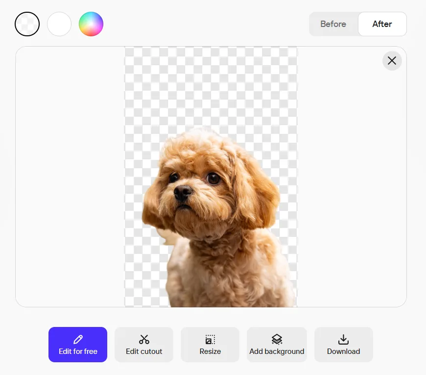 Photoroom background removal result on the dog photo