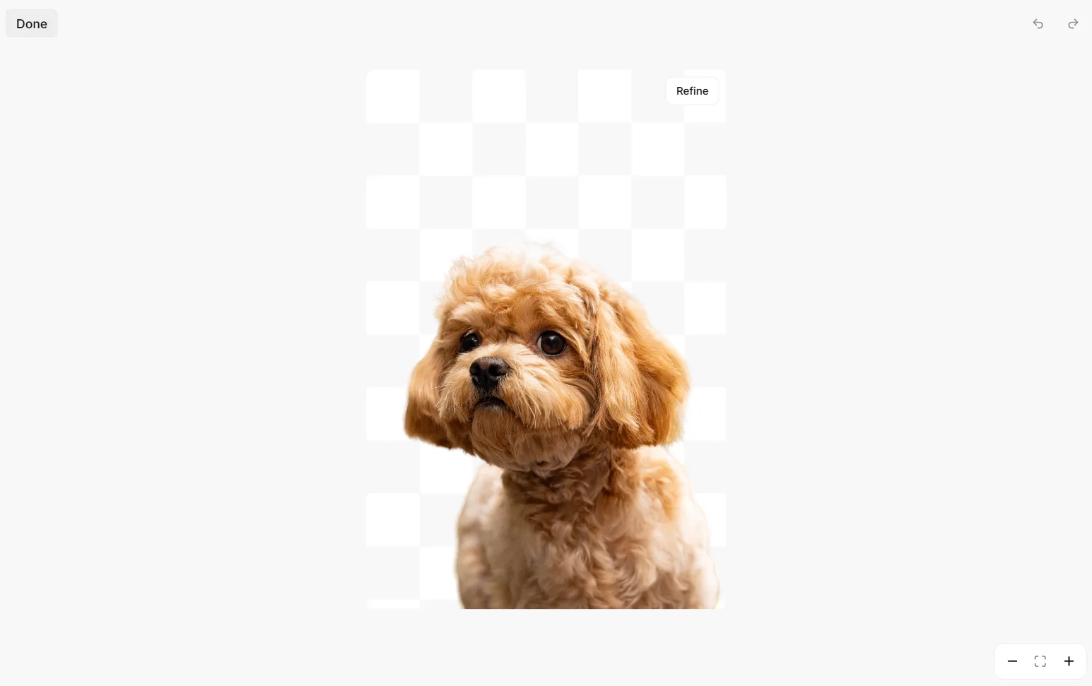 Pixelcut background removal result on the dog photo