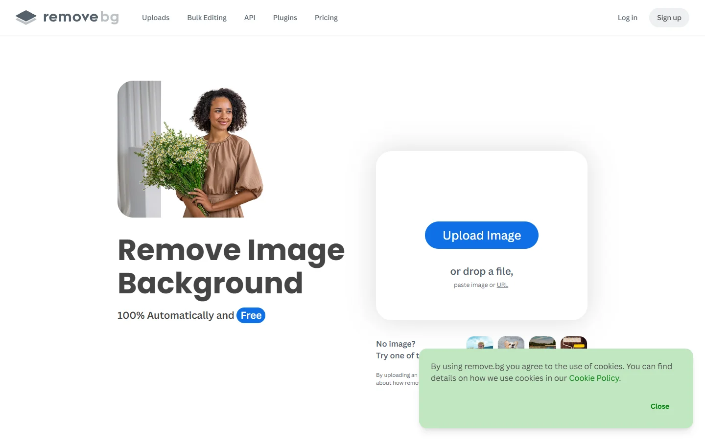 Remove.bg homepage showing AI background removal interface